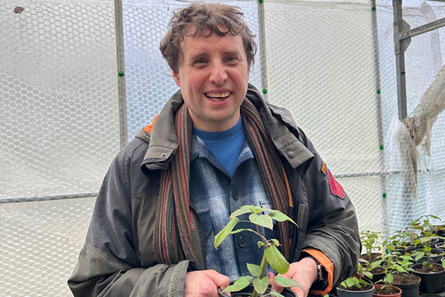 Plant Nursery Sale at Furzey